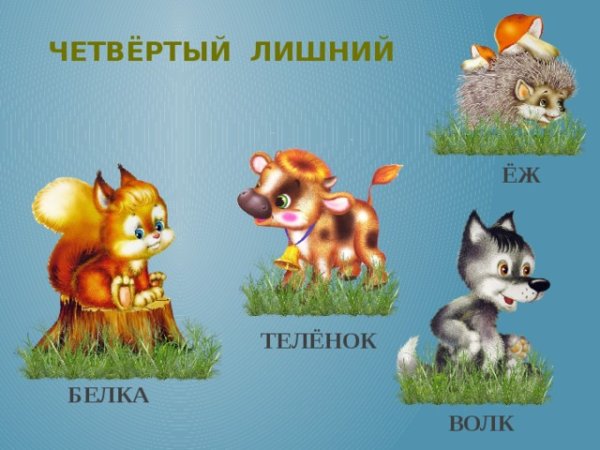 Заяц ёж и белка