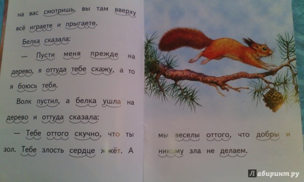 Л.Н.толстой басня белка и волк