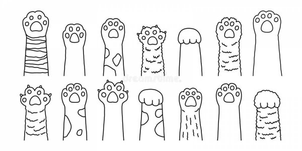 Кошачья лапка раскраска