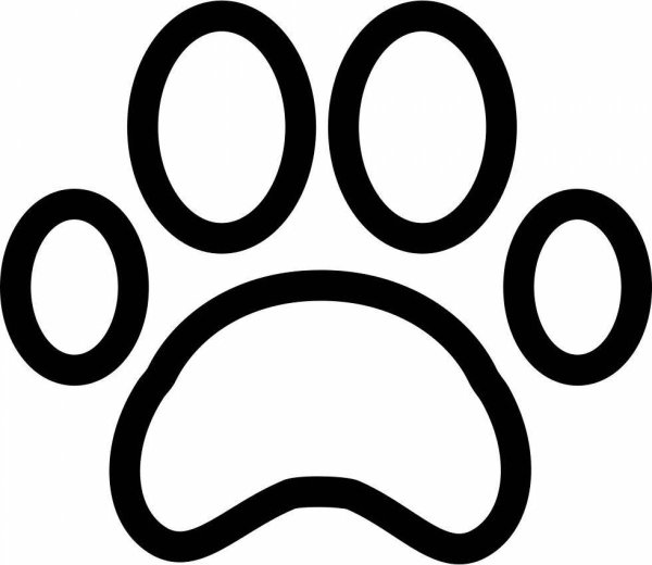 Кошачья лапка иконка