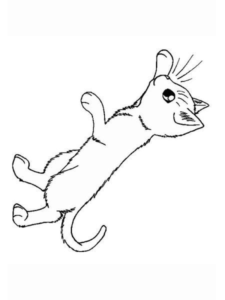 Лапа кота раскраска
