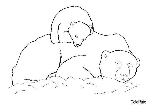 Раскраски белый медведь (41 фото)