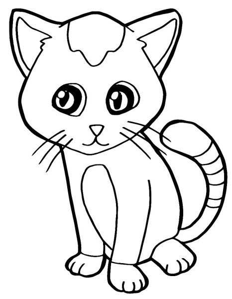 Раскраска лапка кошки