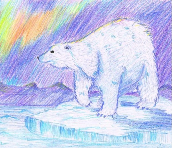 Рисование белый медведь и Северное сияние