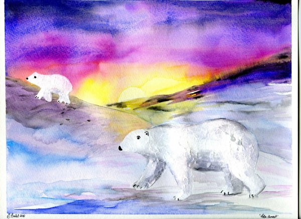 Рисование белый медведь и Северное сияние