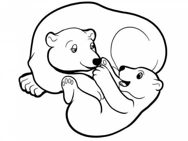 Раскраски белый медведь с медвежатами (40 фото)