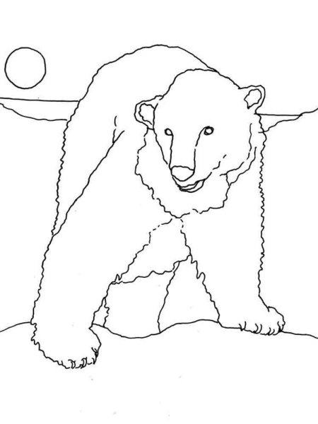 Раскраски белый северный медведь (33 фото)