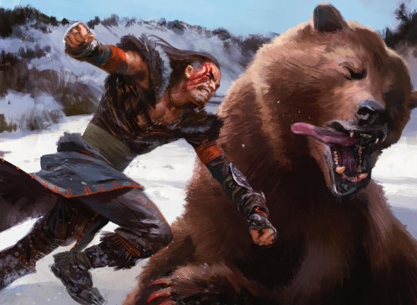 Раскраски битва с медведем (46 фото)