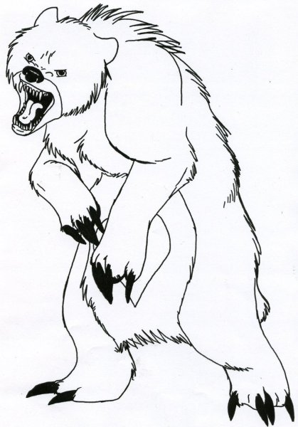 Медведь рисунок карандашом