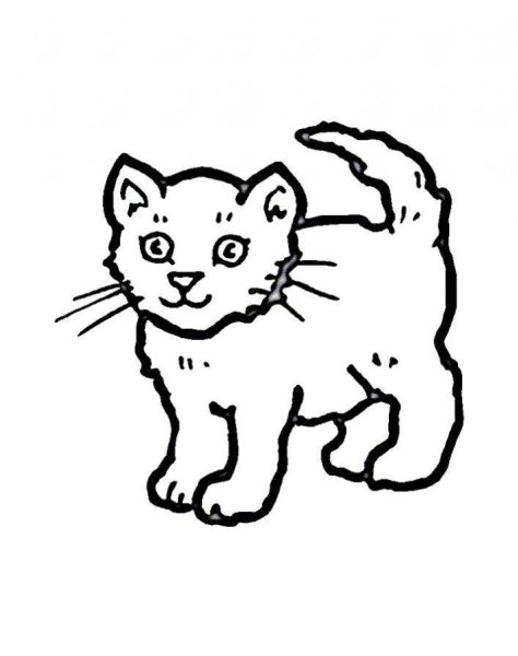 Кошки маленькие раскраска