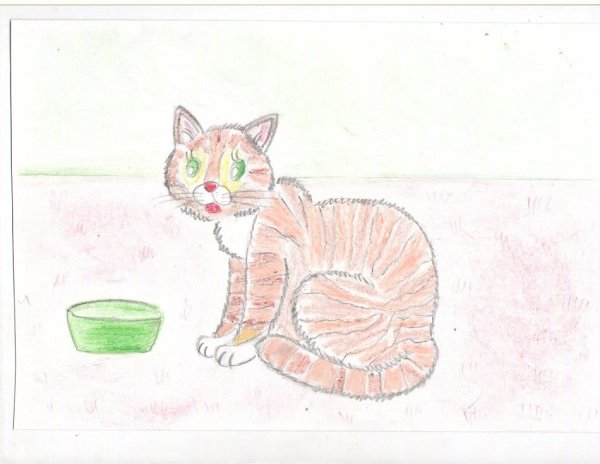 Котики для рисования