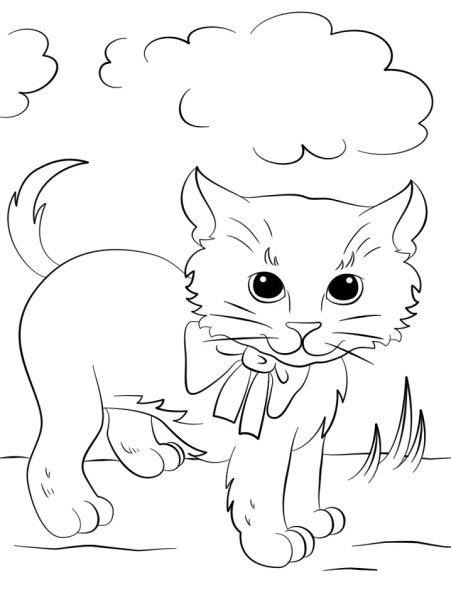 Раскраска. Котики