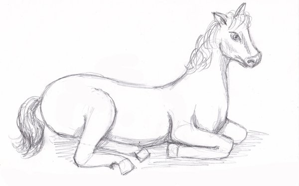 Лошадь рисунок