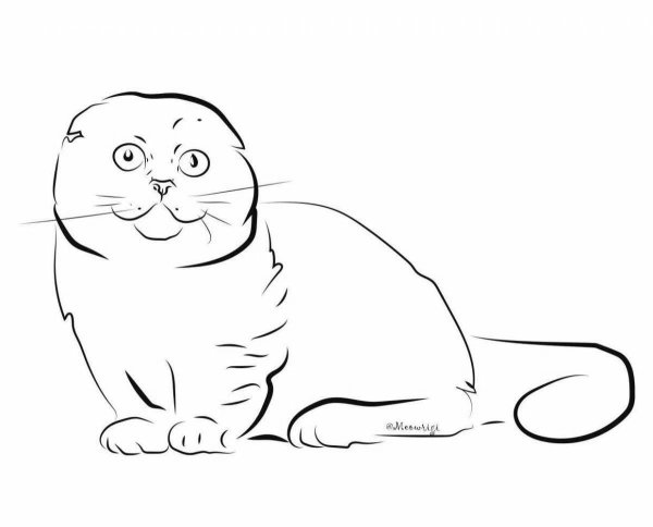 Вислоухий кот карандашом