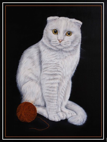 Вислоухий кот рисунок