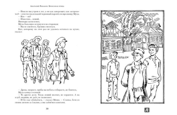 Иллюстрации книги бронзовая птица рыбаков