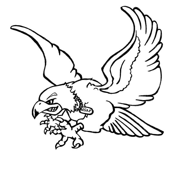 Falcon draw Fly
