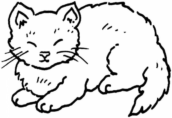 Контур котенка для раскрашивания