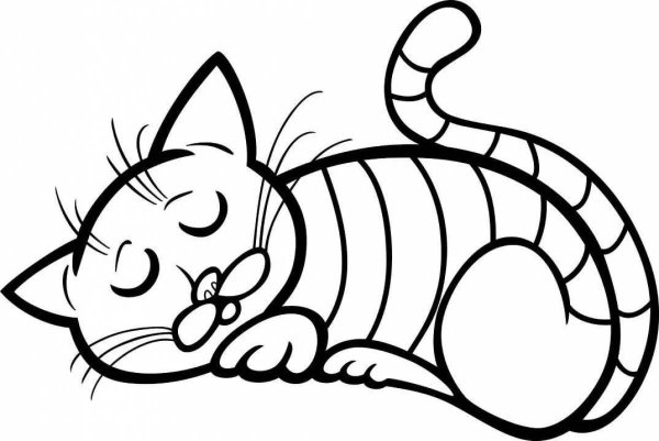Раскраски лежащий котик (40 фото)