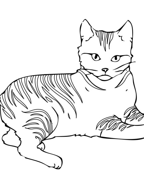 Кошки. Раскраска