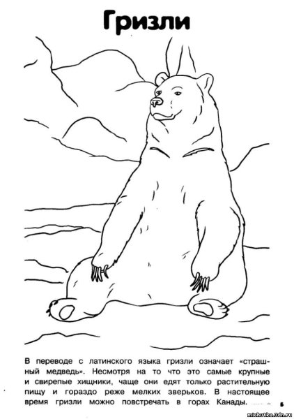 Медведь и лемминги раскраска