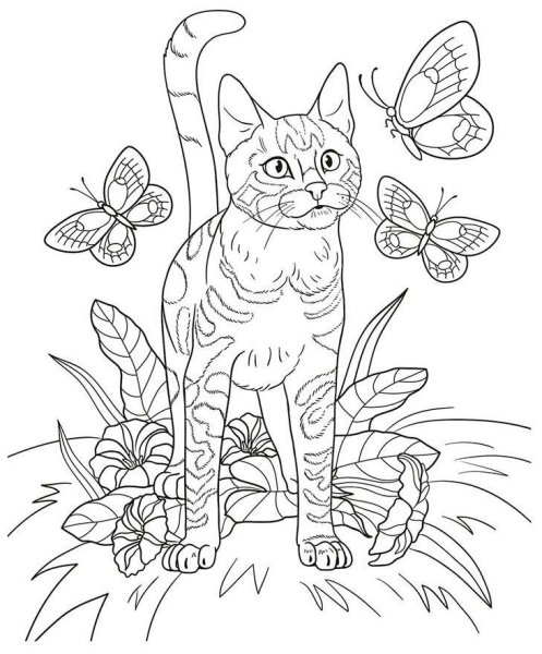 Кошка для раскрашивания