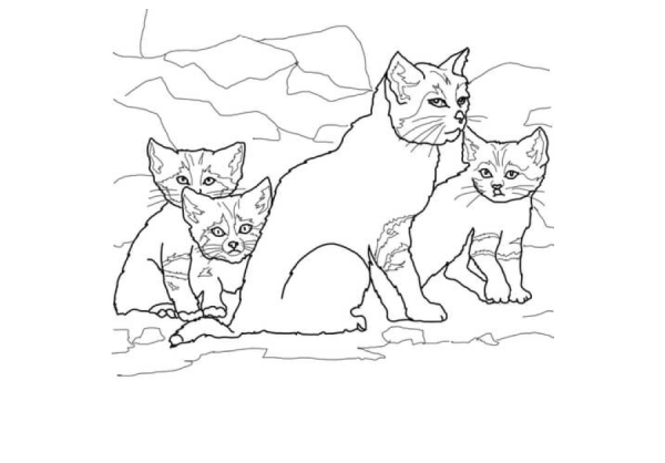Раскраска семья кошек