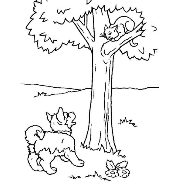 Кошка на дереве раскраска