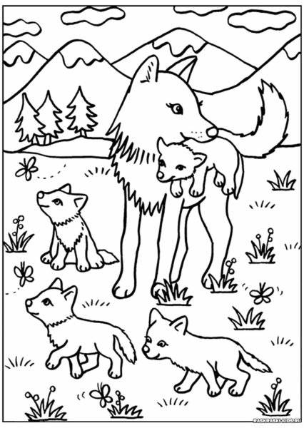 Раскраски лесных животных волк (47 фото)