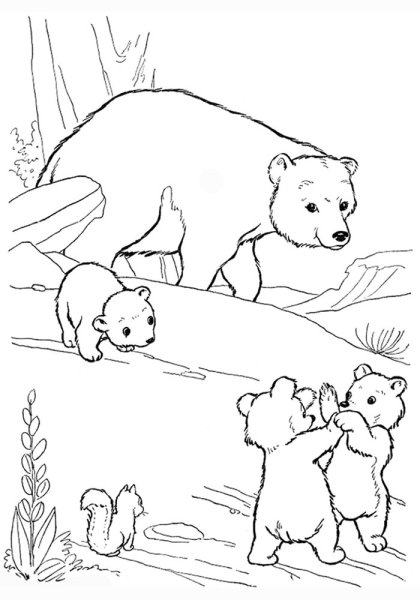 Bear Coloring Pages for Kids