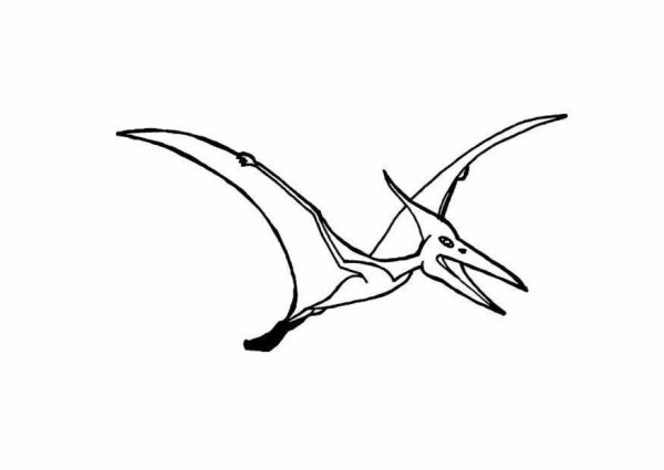 Птеродактиль рисунок