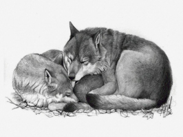Рисунки карандашом животные любовь