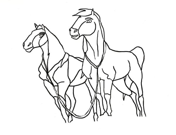 Spirit Stallion of the Cimarron раскраски