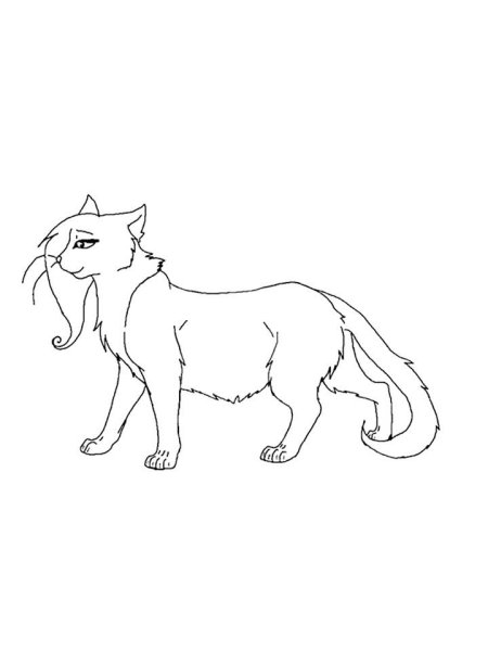 Коты Воители разукрашивать
