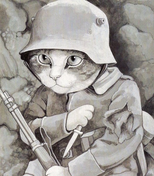 Боевой кот в каске