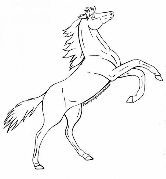 Нарисовать лошадь на дыбах
