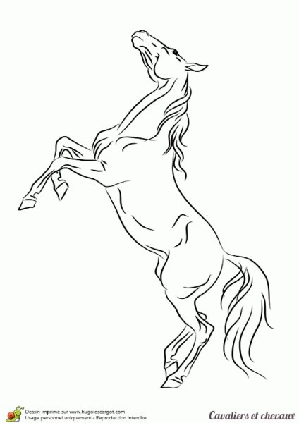Лошадь эскиз
