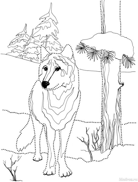 Раскраски волк за деревом (47 фото)
