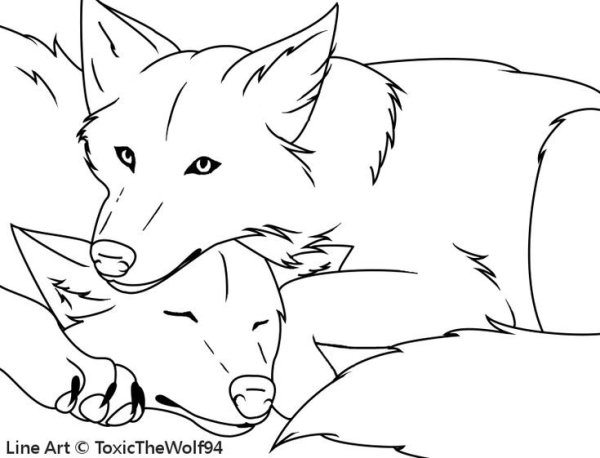 Раскраски волк и лисица (42 фото)