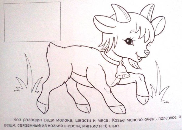 Сказка волк и семеро козлят раскраска