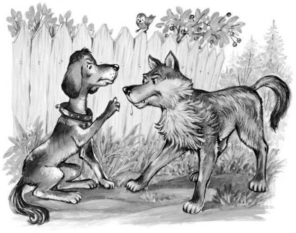 Раскраски волк и собака сказка (46 фото)
