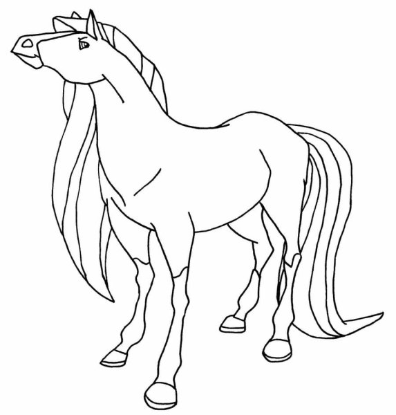 Horseland раскраски