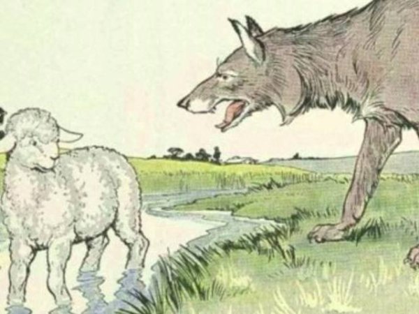 Раскраски волк и ягненок (46 фото)