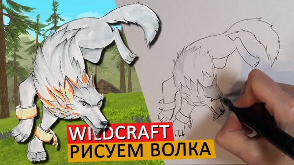 WILDCRAFT рисунки волка
