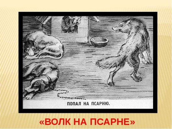 Волк на псарне Лаптев