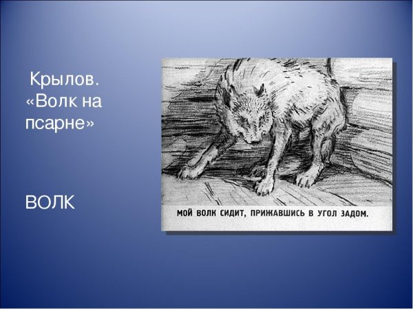 Волк на псарне