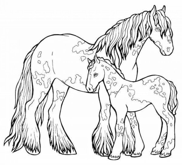 Раскраски лошади с рогом (38 фото)