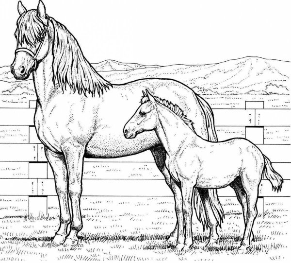 Раскраски лошади триколор (44 фото)