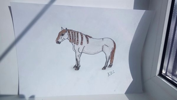 Нарисованные лошади шляйх