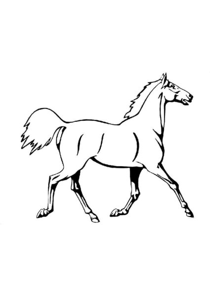 Лошадь скачет раскраска